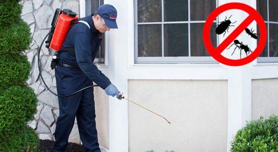 Dalaman Böcek İlaçlama böcek ilaçlama ve haşere kontrolü — ilaclama-tr.com